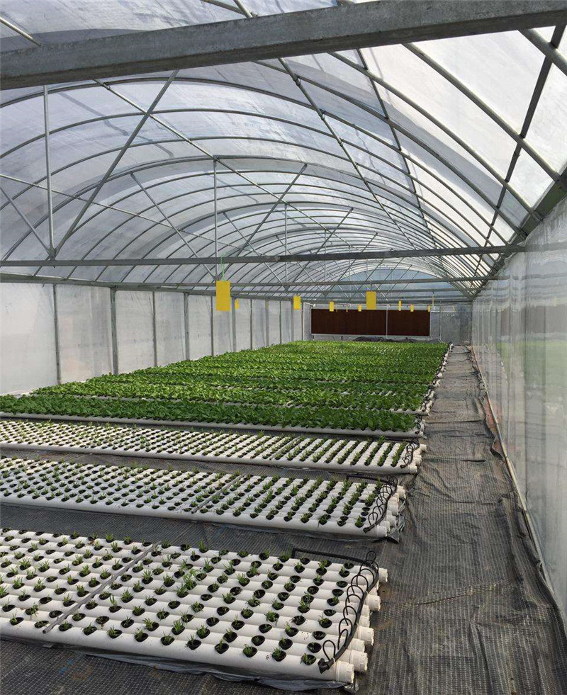 蔬菜溫室大棚廠家如何解決透光保溫性能